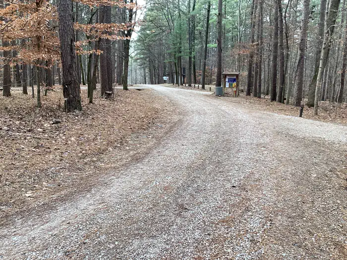 Saddle Lake Recreation Area — A photo of Saddle Lake Campground