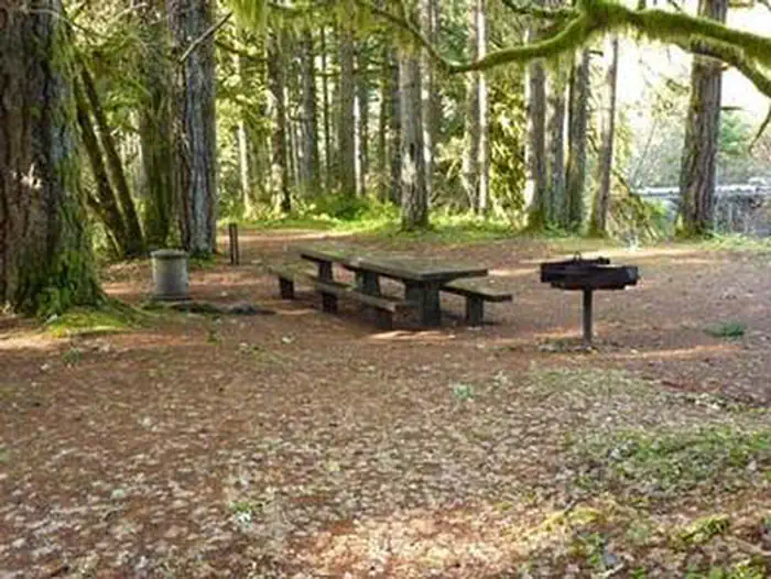 Rujada Day Use Picnic Area — RUJADA DAY USE PICNIC AREA