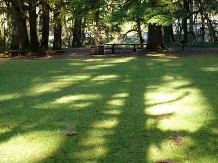 Rujada Day Use Picnic Area — RUJADA DAY USE PICNIC AREA