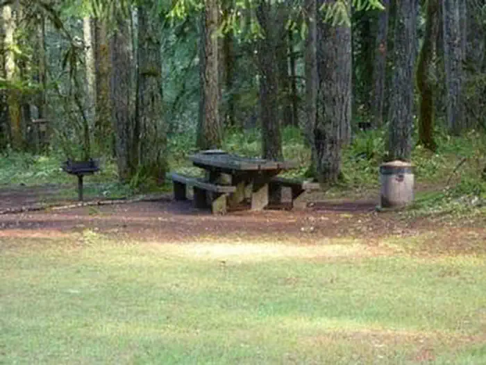 Rujada Day Use Picnic Area — RUJADA DAY USE PICNIC AREA