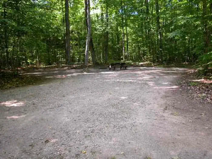 Pete's Lake Campground — Pete's Lake Campground Site