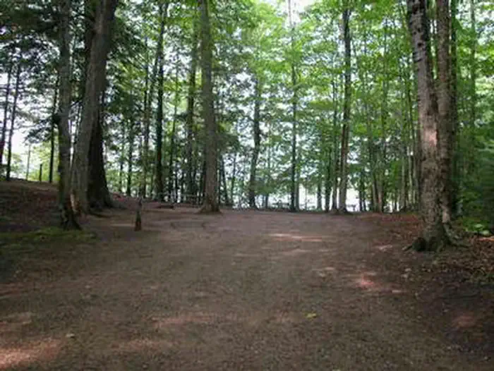Pete's Lake Campground — Pete's Lake Campground
