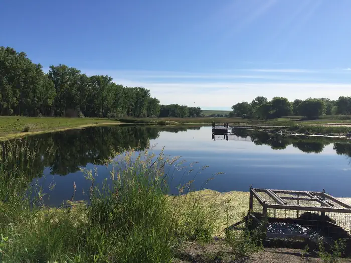 Downstream Campground (nd) — Trout Pond at Downstream Campground Hiking Trail