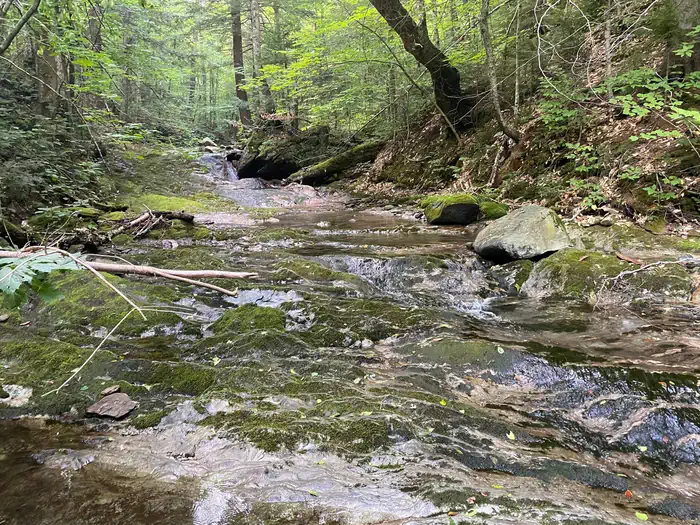 Chittenden Brook Campground — Chittenden Brook