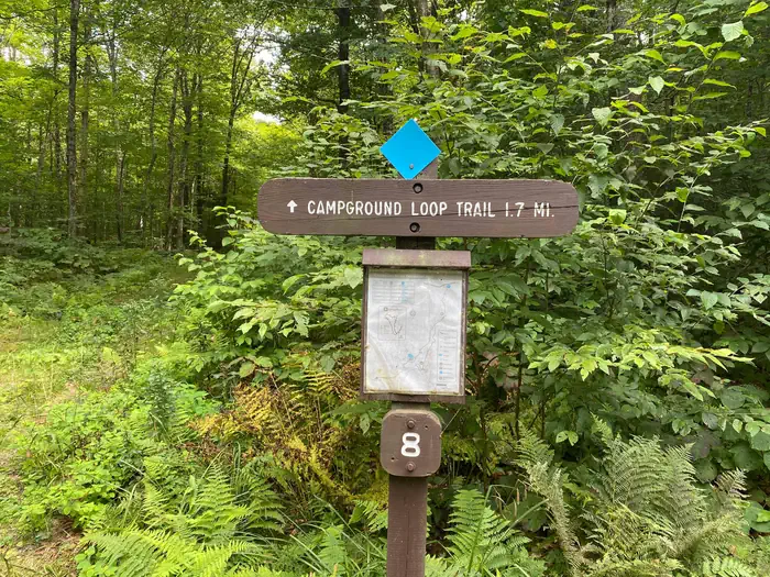 Chittenden Brook Campground — Chittenden Brook Campground Trails