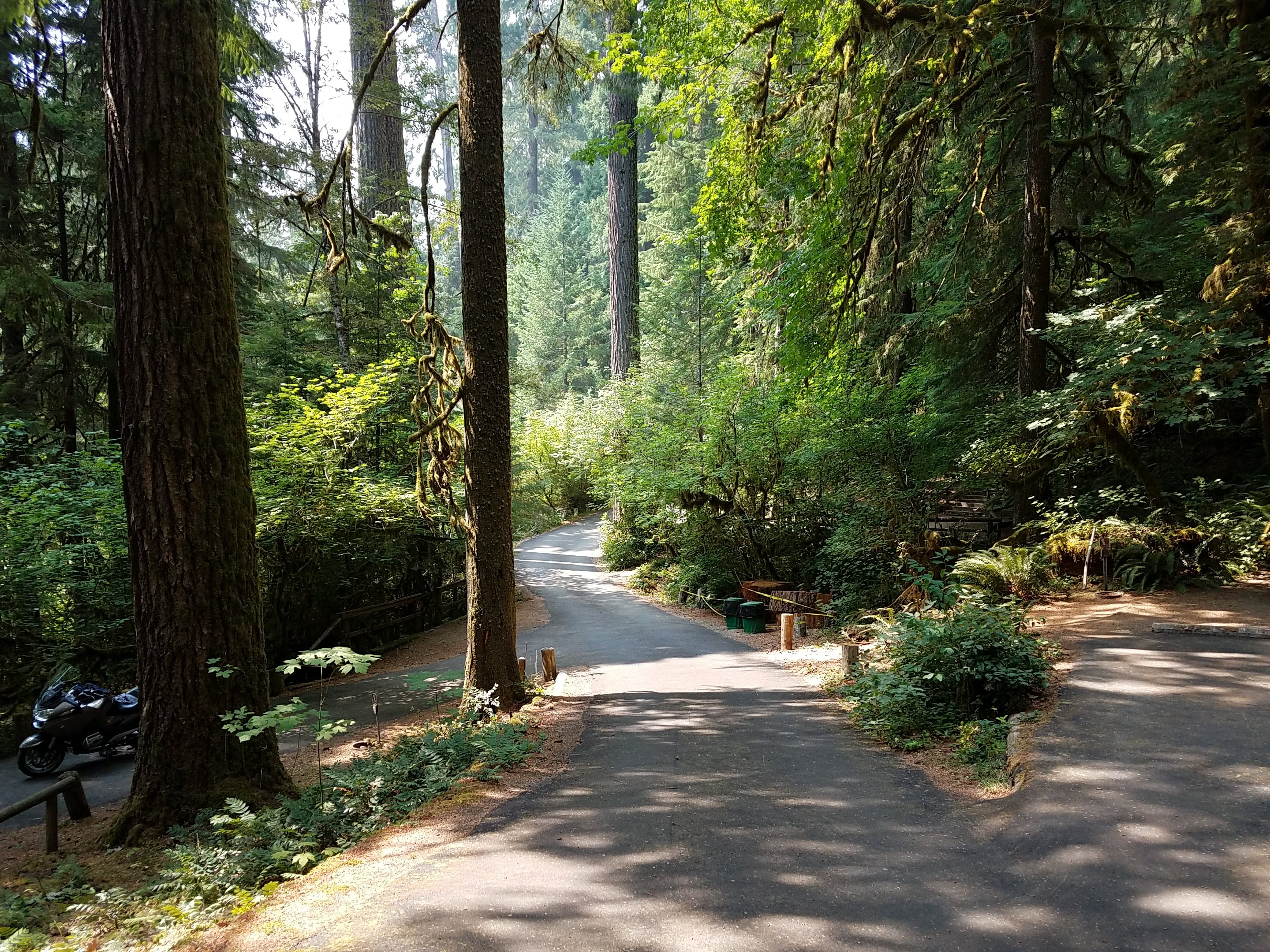 Yellowbottom Recreation Site — Loop road at Yellowbottom Recreation Site