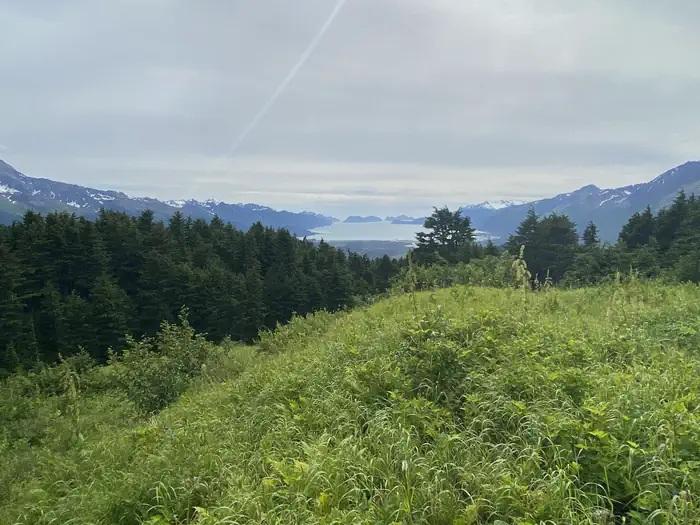 Dale Clemens Cabin β Resurrection Bay