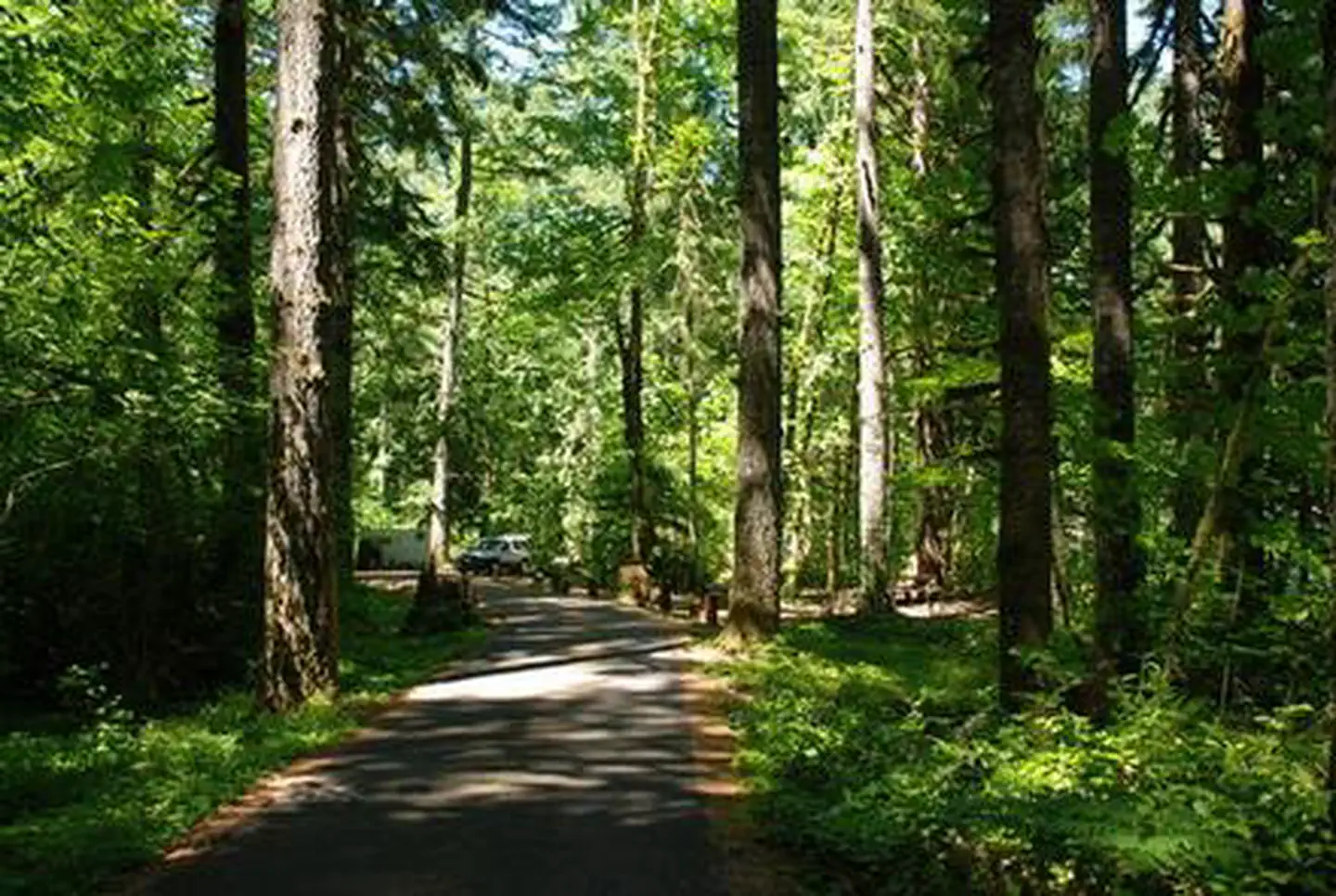 Hoover Campground — HOOVER CAMPGROUND