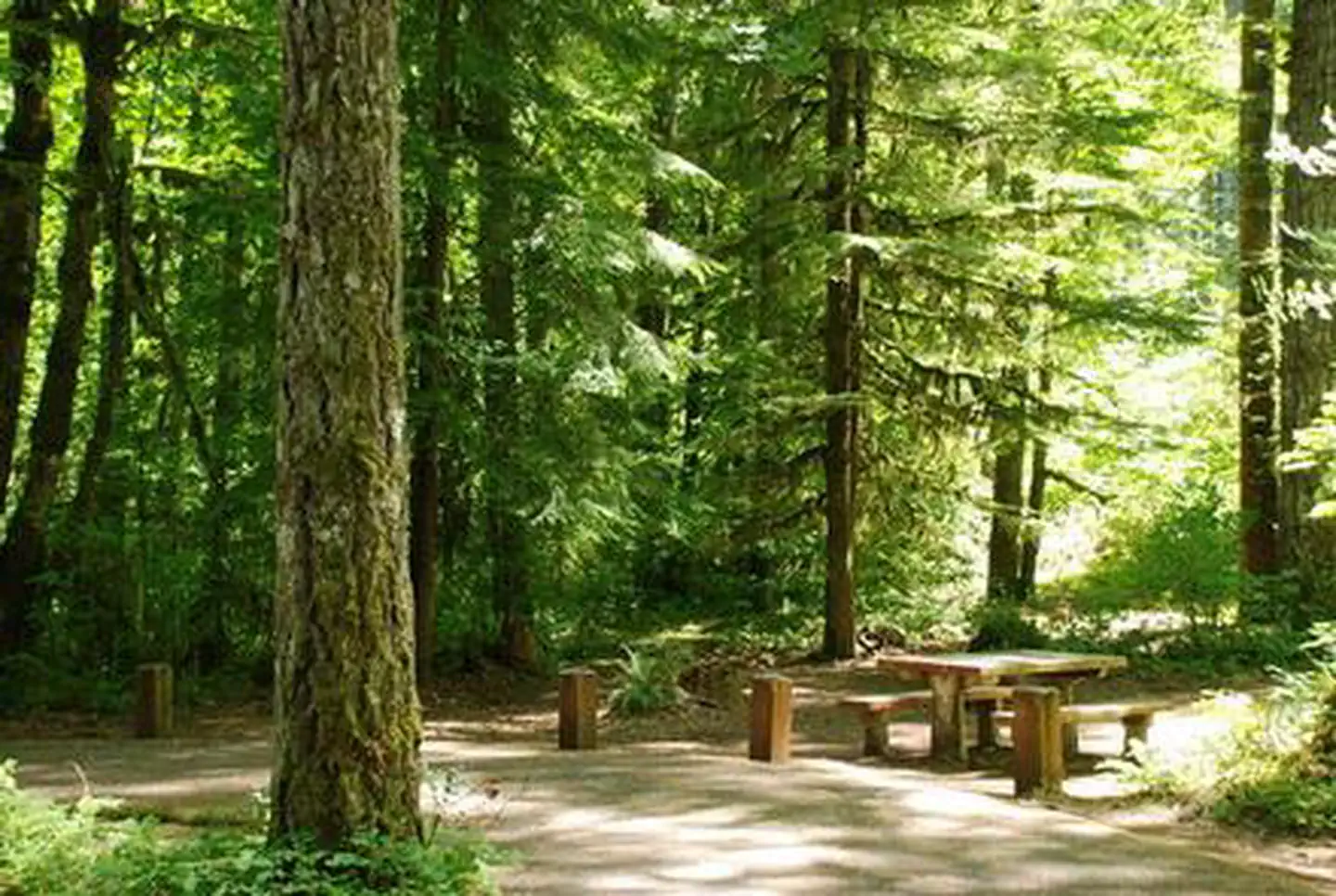 Hoover Campground — HOOVER CAMPGROUND