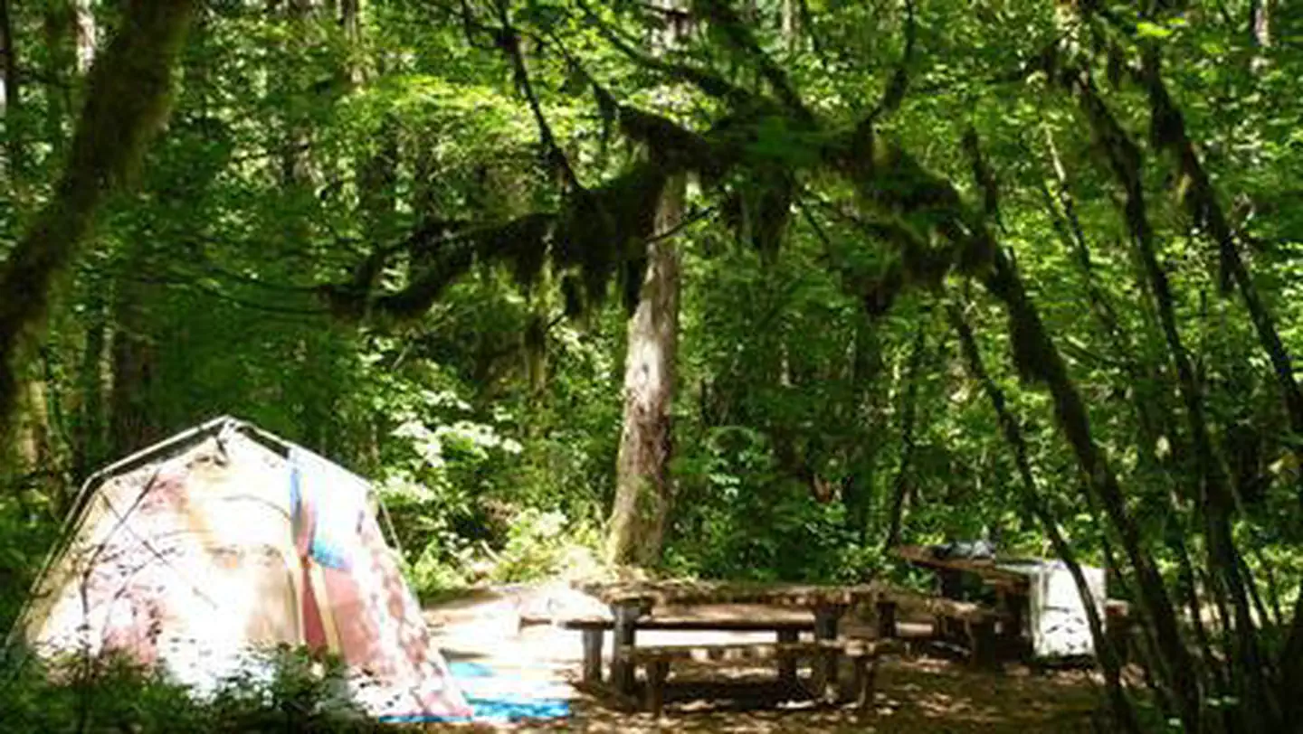 Hoover Campground