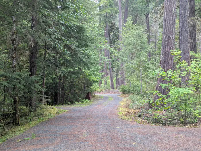 Sulphur Creek Campground — SULPHUR CREEK TREES