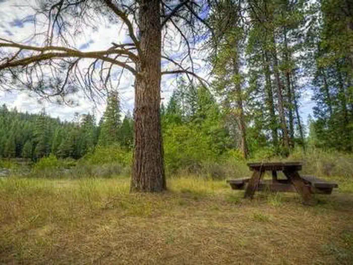 Allen Springs Campground — site
