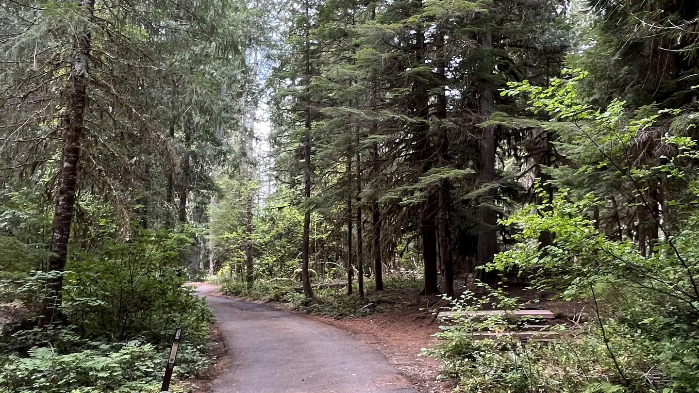 Humbug Campground
