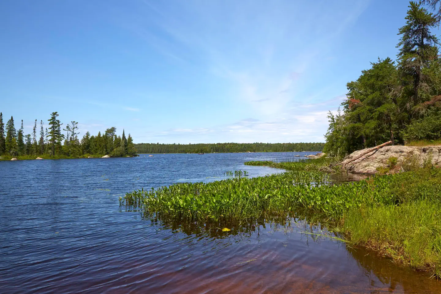 Jeanette Lake — View of Lake Jeanette