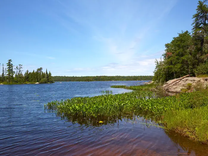 Jeanette Lake — View of Lake Jeanette