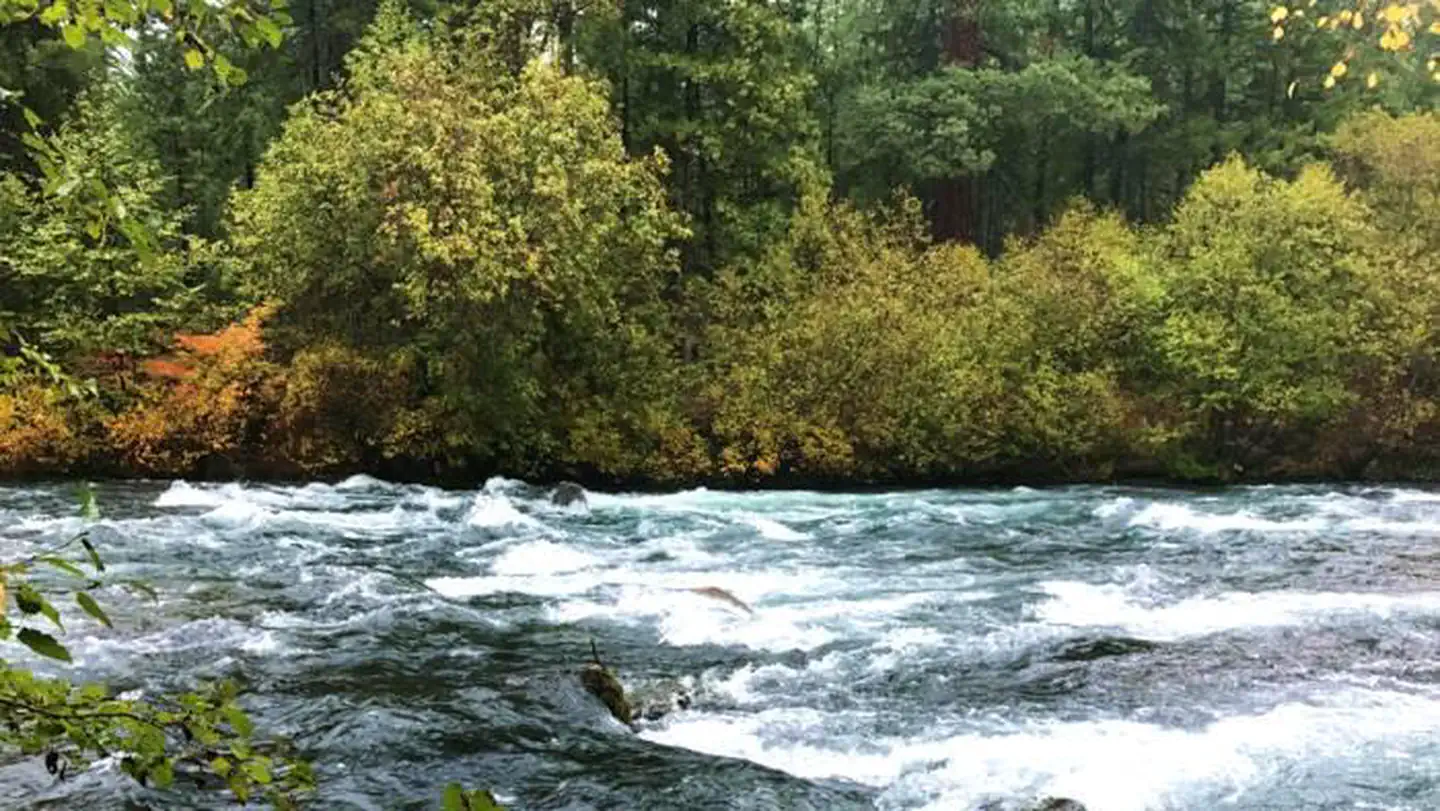 Monty Campground — Rapids on the Metolius River