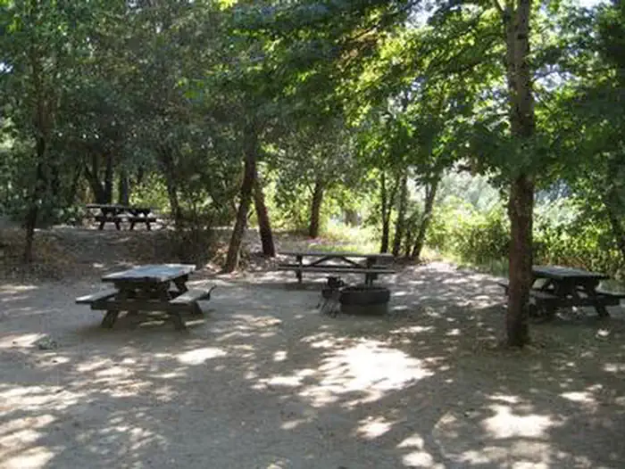 Curly Jack Campground — CURLY JACK CAMPGROUND