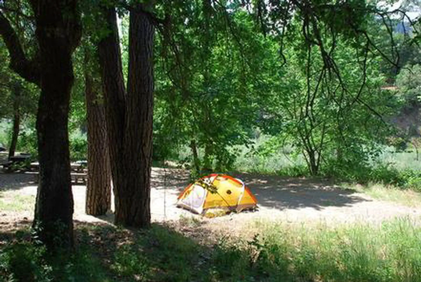 Curly Jack Campground — CURLY JACK CAMPGROUND
