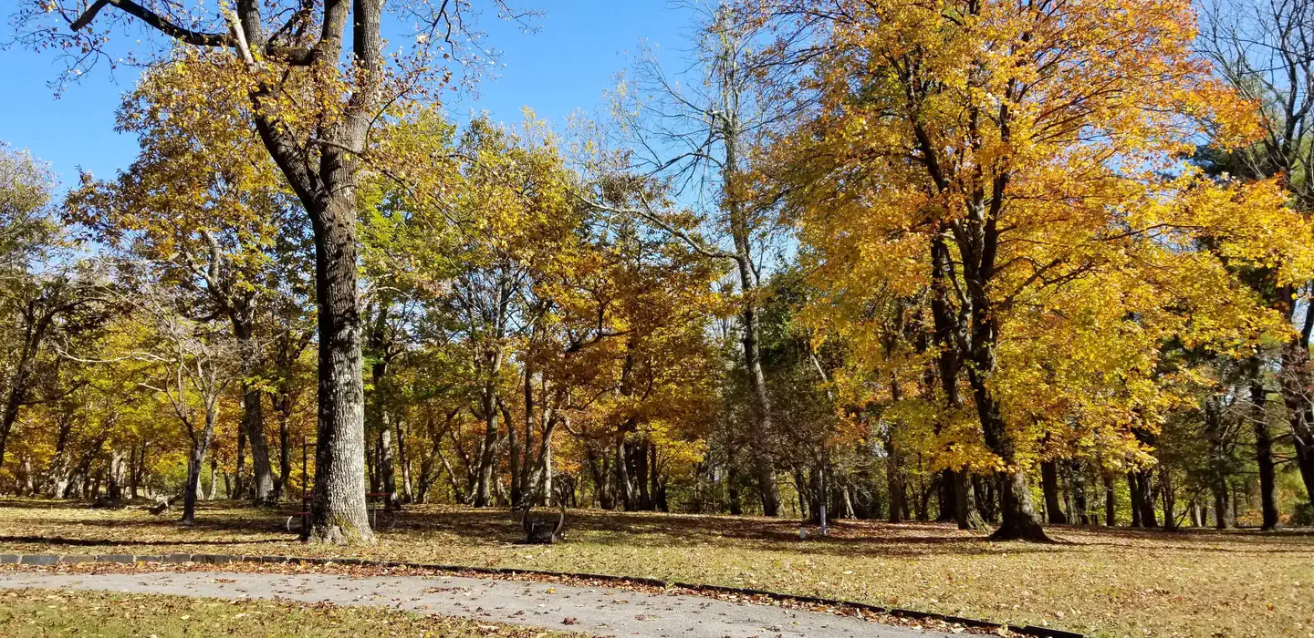 Rocky Knob Campground — T Loop - RV only