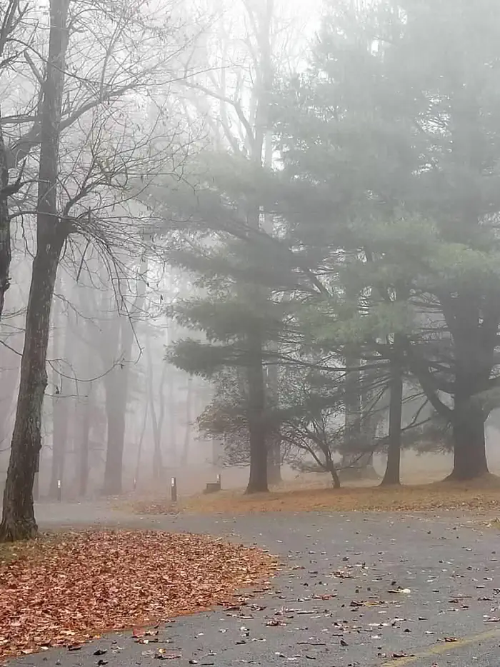 Rocky Knob Campground — Shrouded in fog.