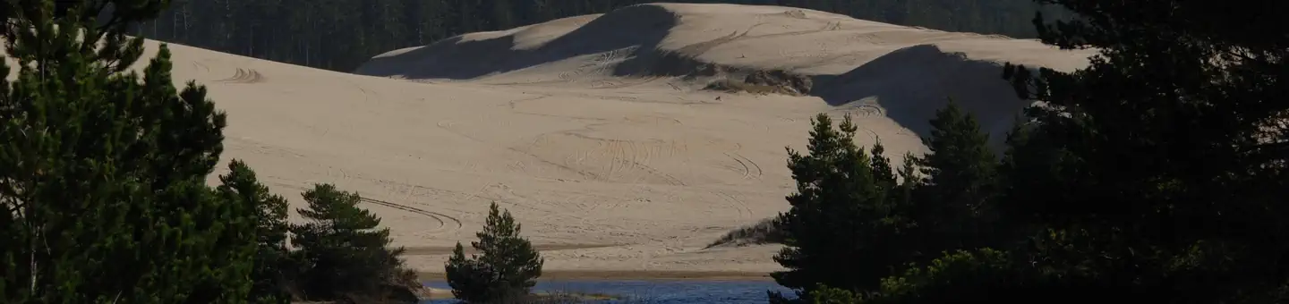 Spinreel Sand Camping