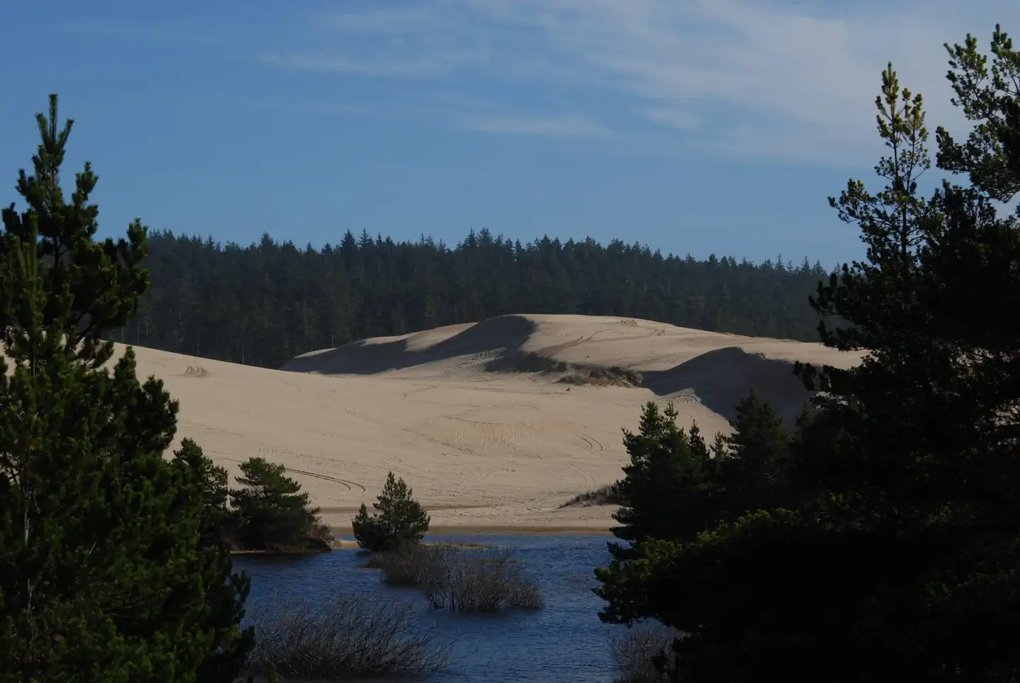 Spinreel Sand Camping — Shore pines and blue lake with sand dunes and conifer covered hills in background.