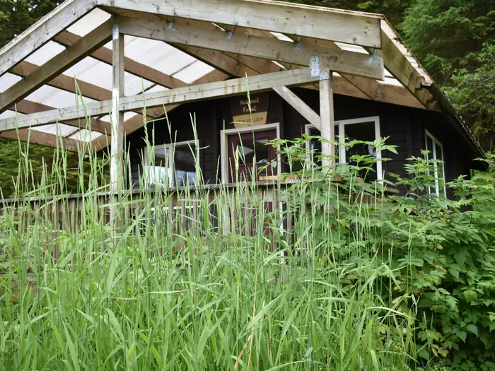 Helm Bay Cabin — Helm Bay Cabin