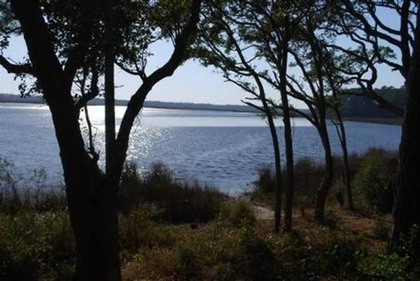Oyster Point Campground — OYSTER POINT CAMPGROUND