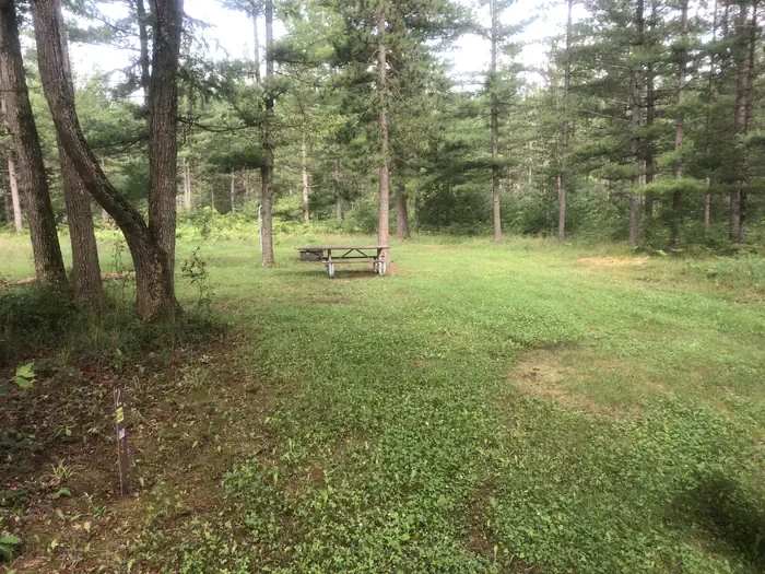 South Branch Trail Camp Group Site — 2