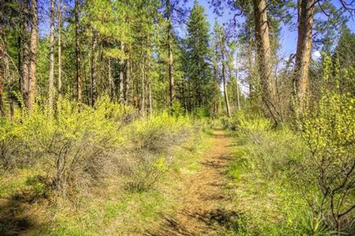 Pine Rest Campground — PINE REST CAMPGROUND