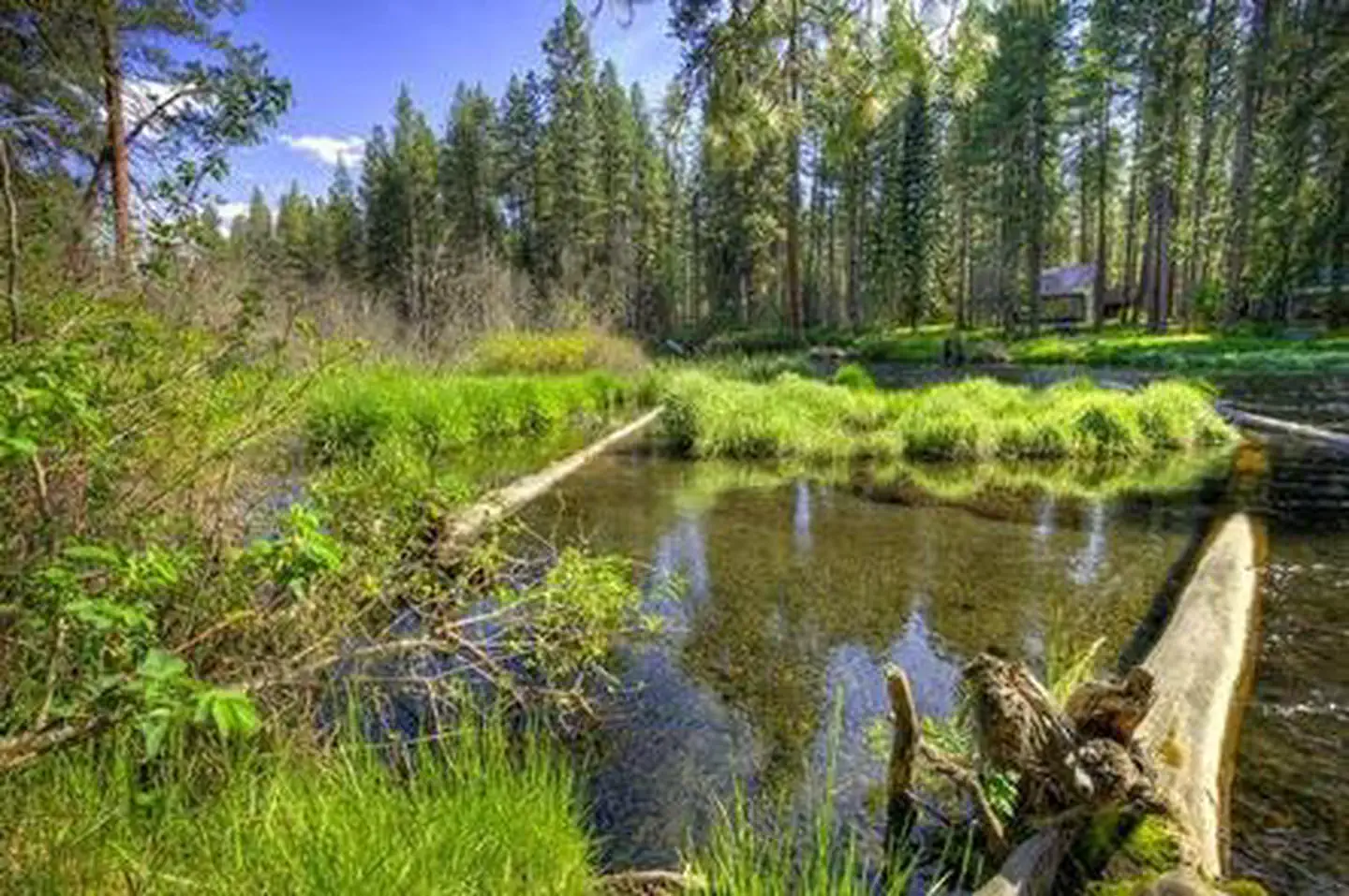 Pine Rest Campground — PINE REST CAMPGROUND