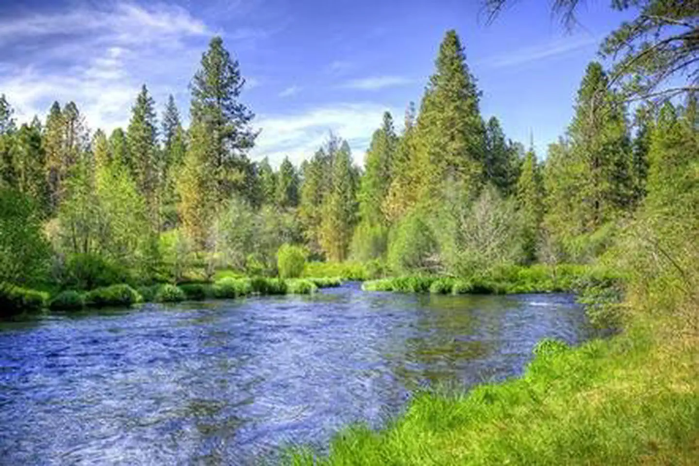 Pine Rest Campground — PINE REST CAMPGROUND