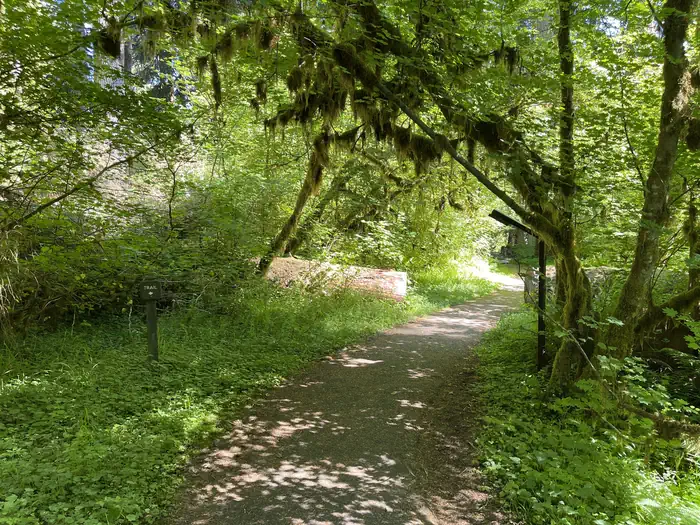 Sol Duc Hot Springs Resort Campground — Trail from the RV park to loop A