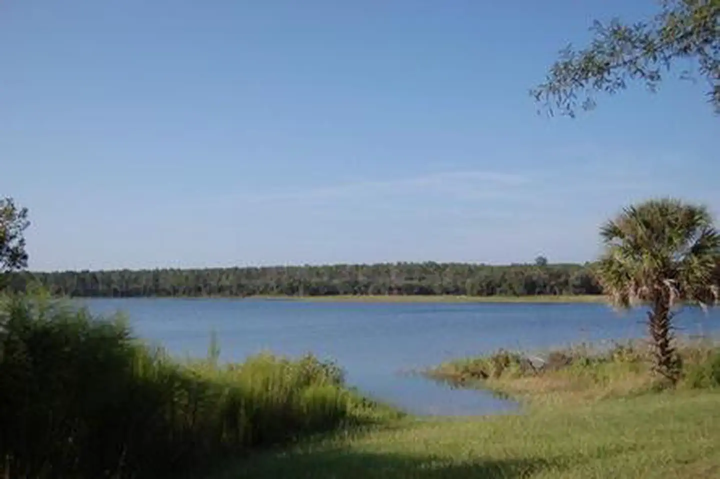 Buck Lake Group Campground β BUCK LAKE GROUP CAMPGROUND VIEW