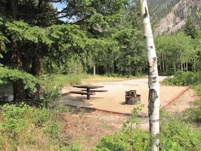 Cascade (colorado) — Campsite with trees, picnic table, fire pit, mountain in background