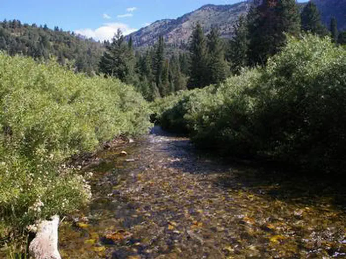 Willow Flat Campground — WILLOW FLAT CAMPGROUND