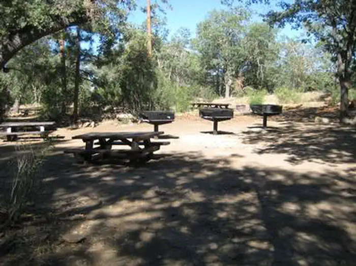 Oso Group Campground — Shade, picnic tables & fire pits of the Oso Group Campground .
