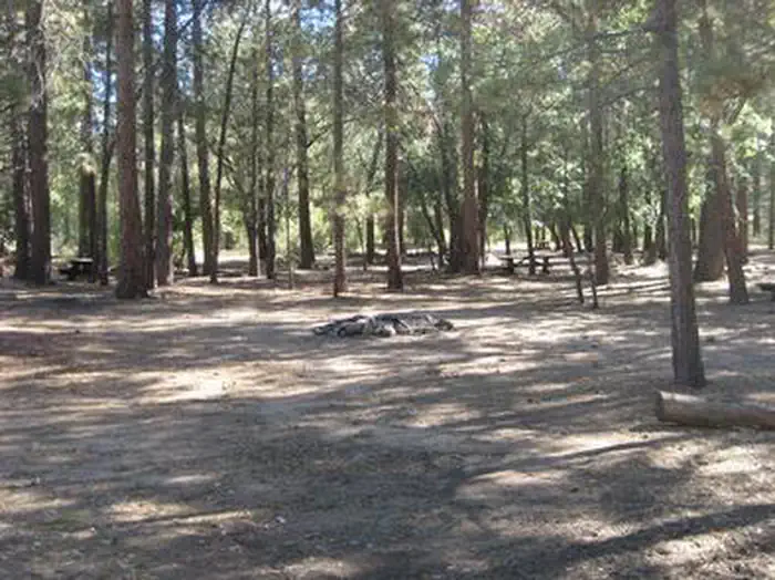 Oso Group Campground — Shade, picnic tables & fire pits of the Oso Group Campground