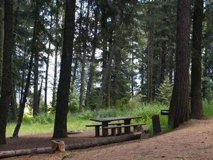 French Creek Campground — FRENCH CREEK