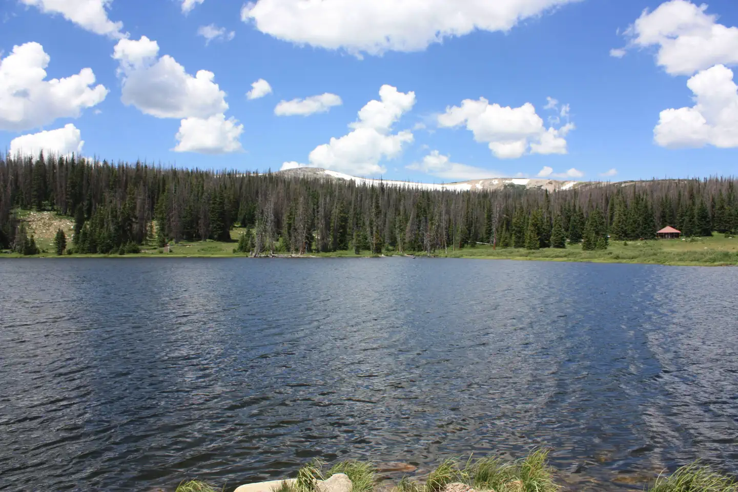 Little Brooklyn Lake Guard — Little Brooklyn Lake Guard across Brooklyn Lake2