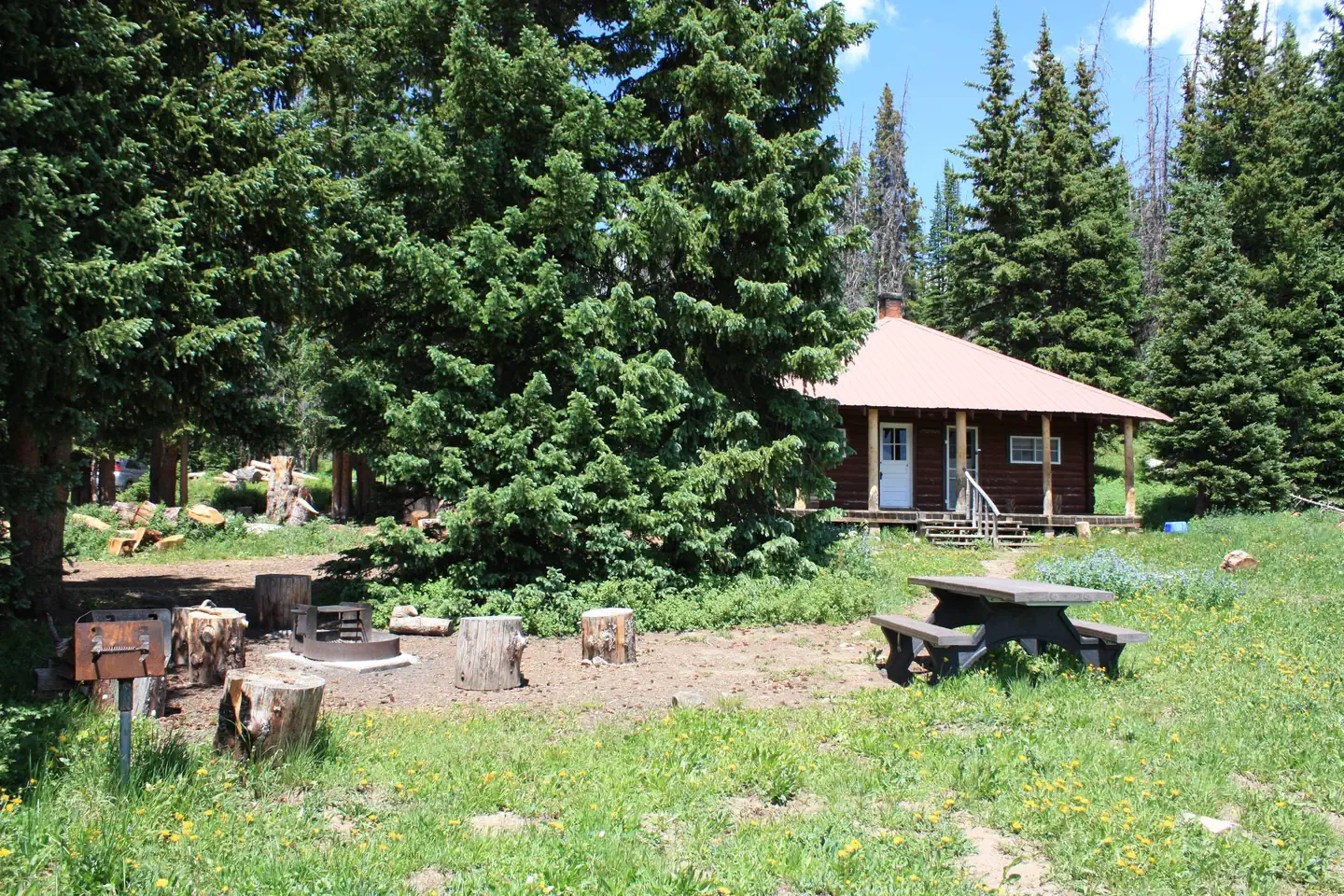 Little Brooklyn Lake Guard — Little Brooklyn Lake Guard, picnic area, and fire pit