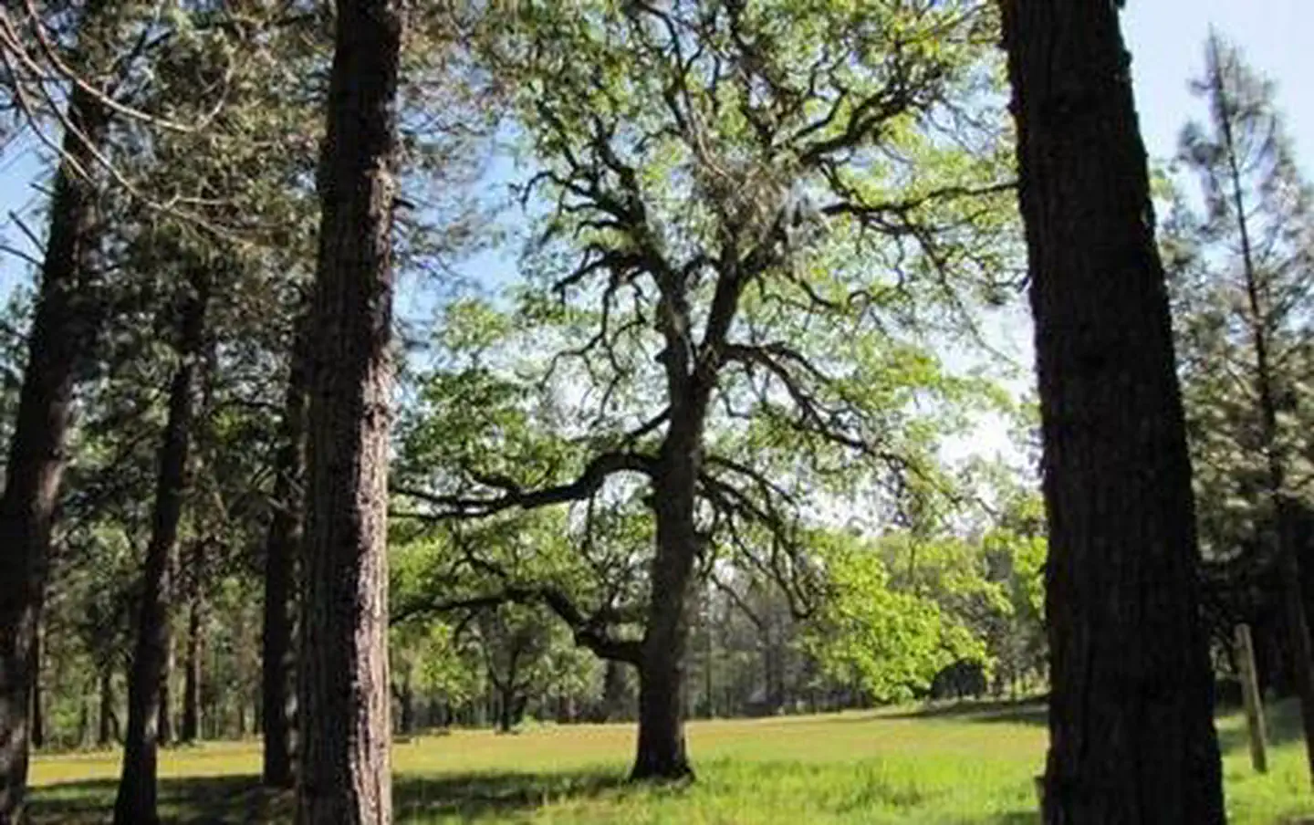 Flumet Flat Group Campground — FLUMET FLAT GROUP CAMPGROUND