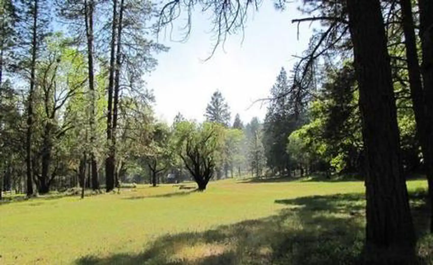 Flumet Flat Group Campground — FLUMET FLAT GROUP CAMPGROUND