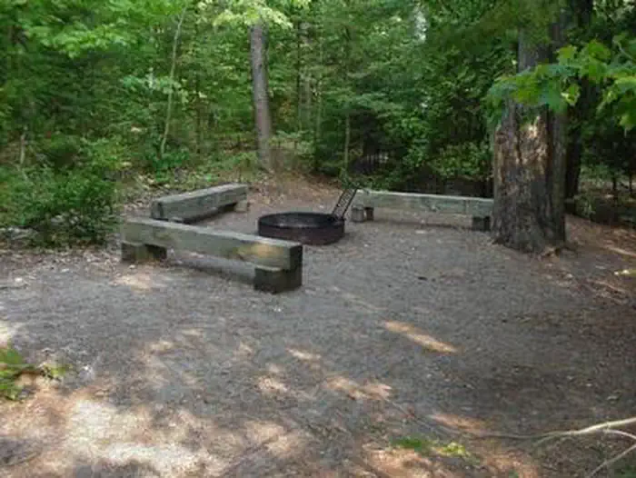 South Manitou Group Campground — A South Manitou Group campsite with fire ring