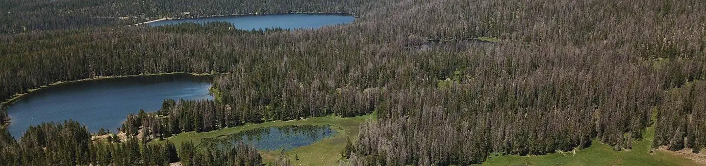 Lilly Lake Campground — Lilly Lake Campground