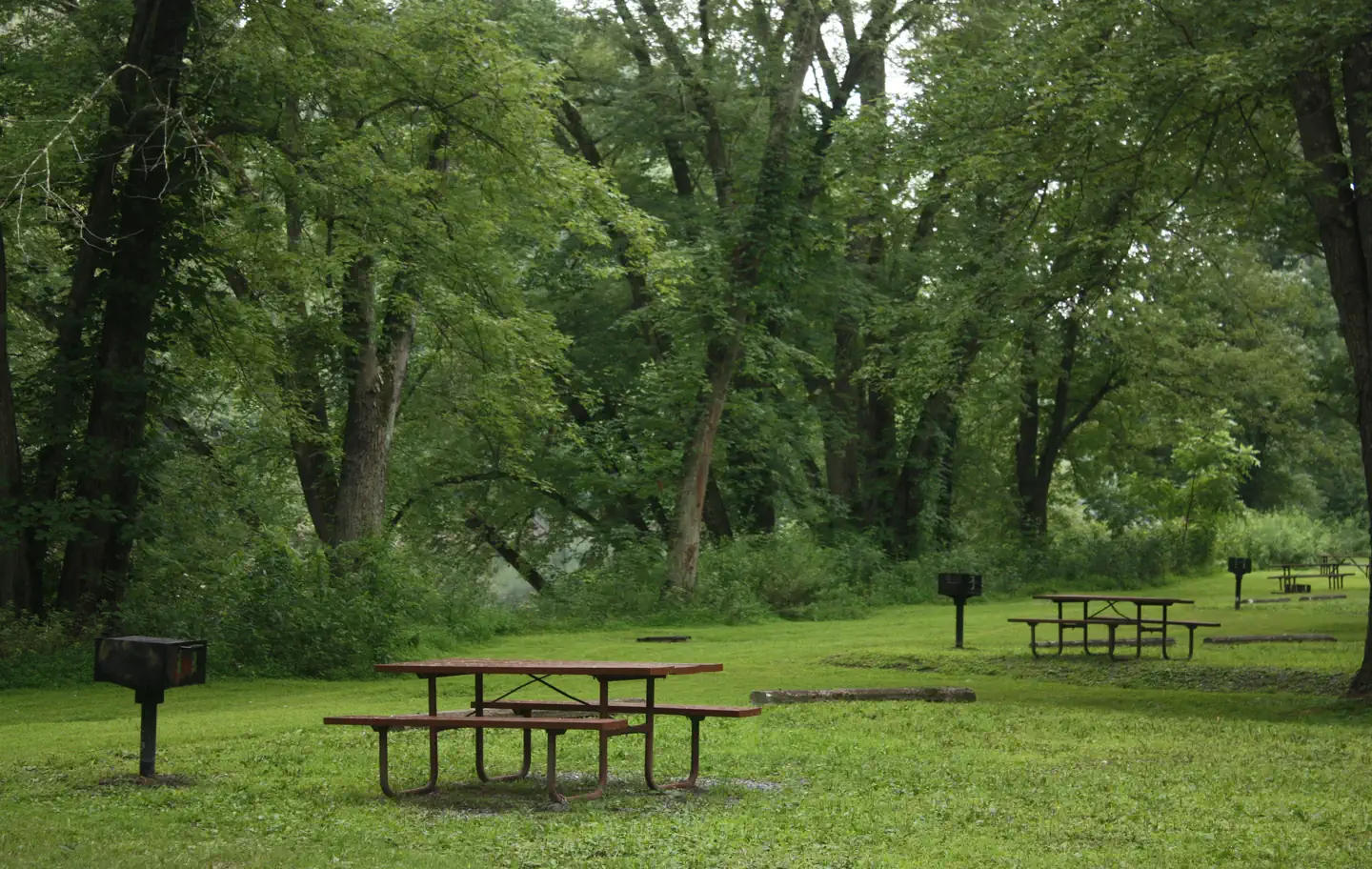 Spring Gap Campground — Multiple campsites in foreground and background