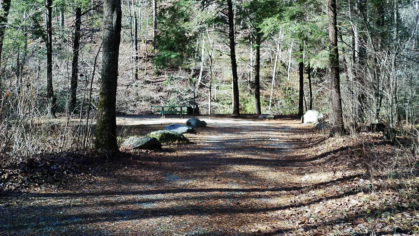 Tallulah River Campground — Campsite #3