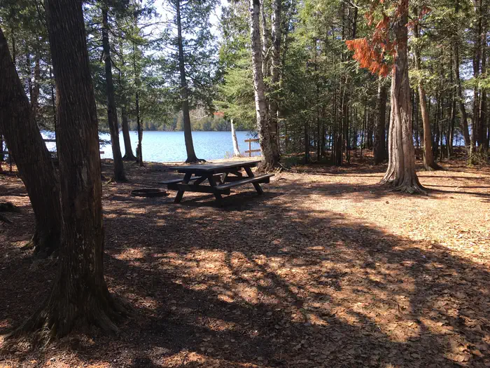 Ninemile Lake Campground — Campsite at Ninemile Campground. There is a picnic table in the shade of several trees and a lake in the background.