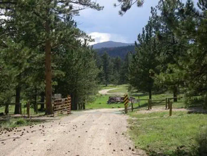 Jacks Gulch — JACKS GULCH