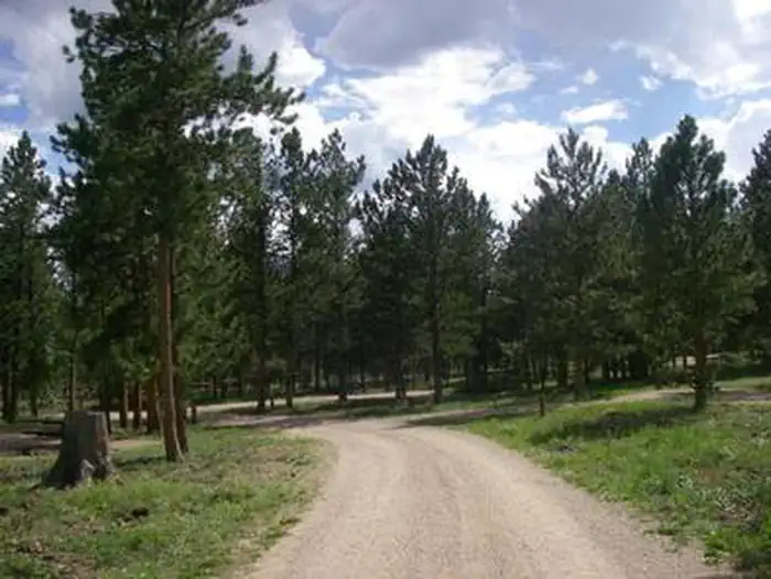 Jacks Gulch — JACKS GULCH